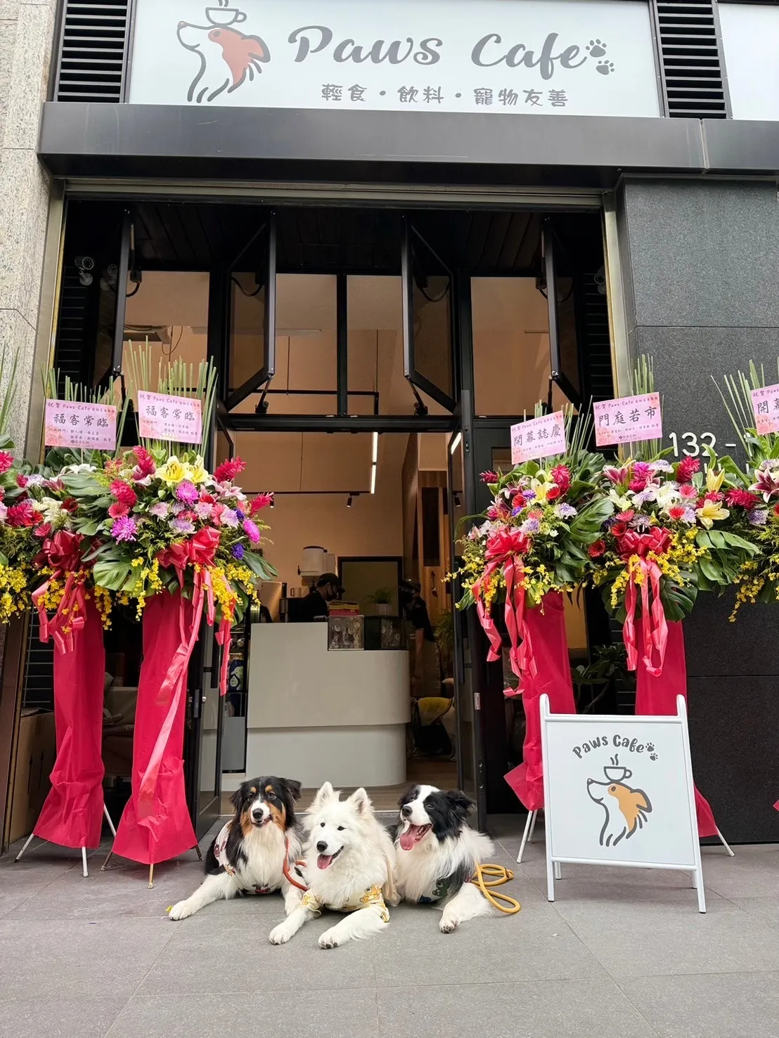Paws Cafe 寵物友善餐廳-新莊人氣早午餐｜甜點咖啡|寵物餐廳|輕食|餐廳推薦|咖哩| 燉飯| 晚餐 | 貓咪咖啡廳 7/16公休