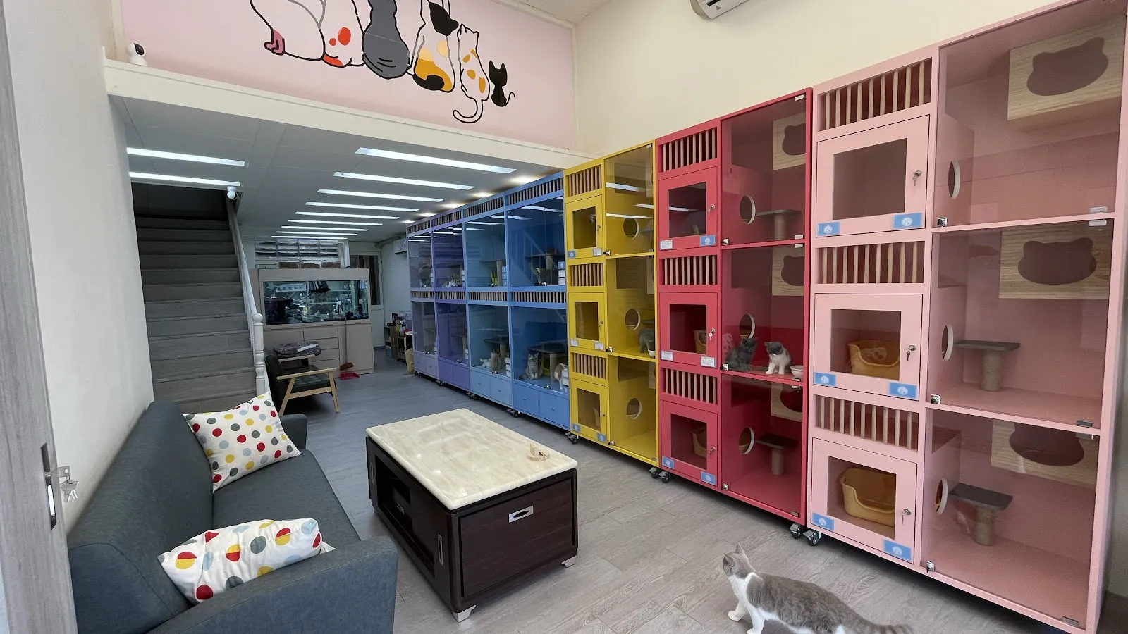 小喵寵物精品店