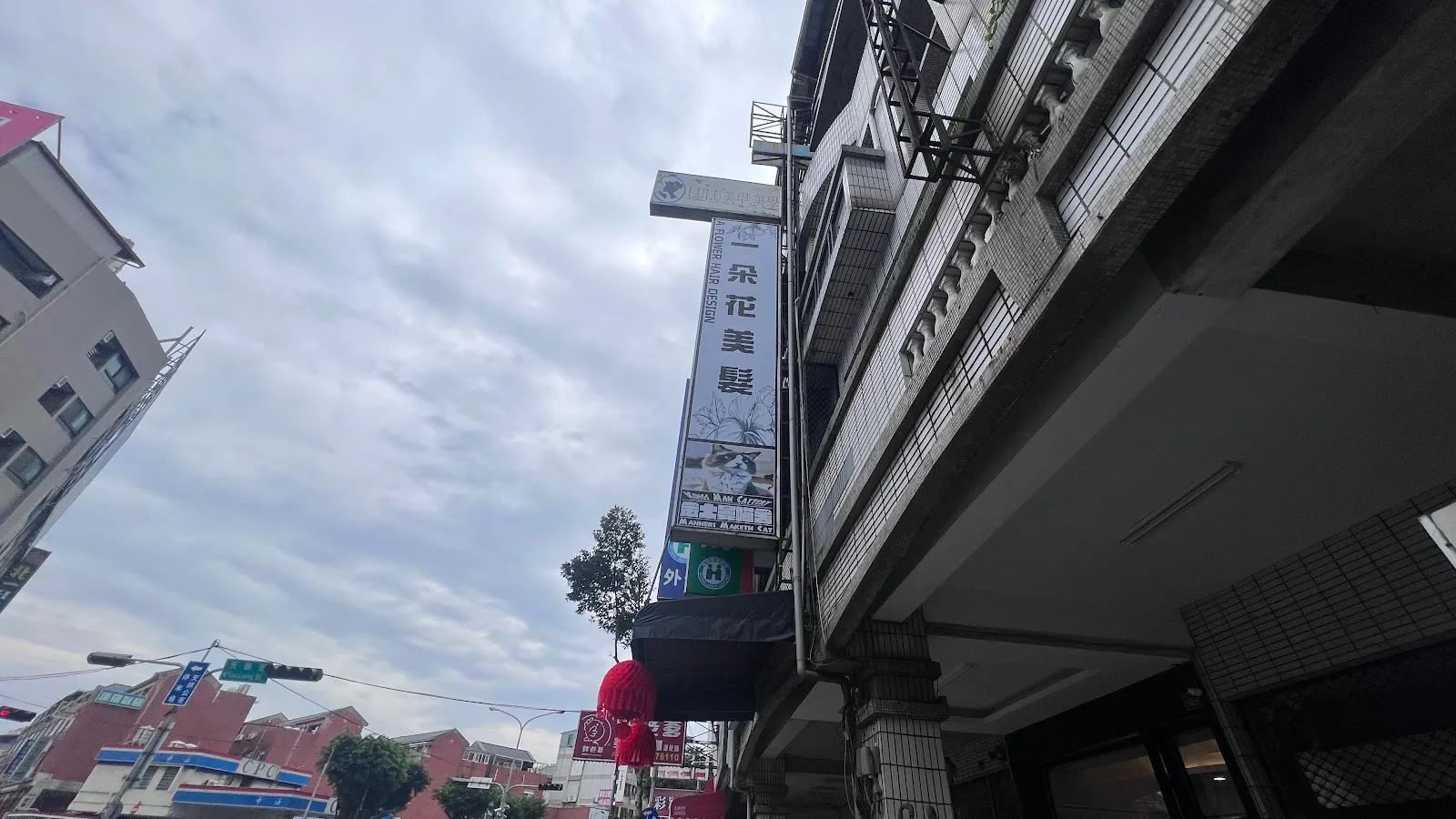 金士曼貓舍