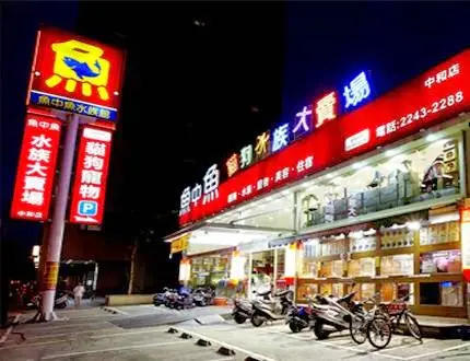 魚中魚水族寵物有限公司