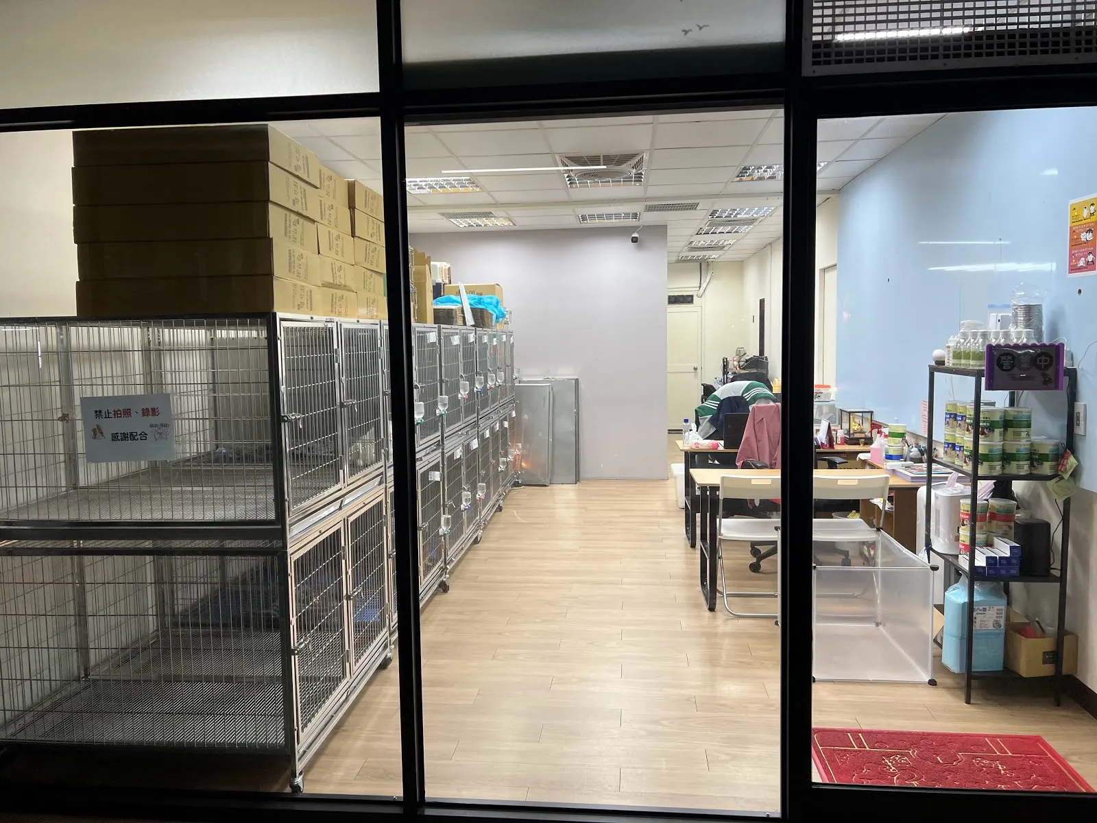 球球幼犬寵物店