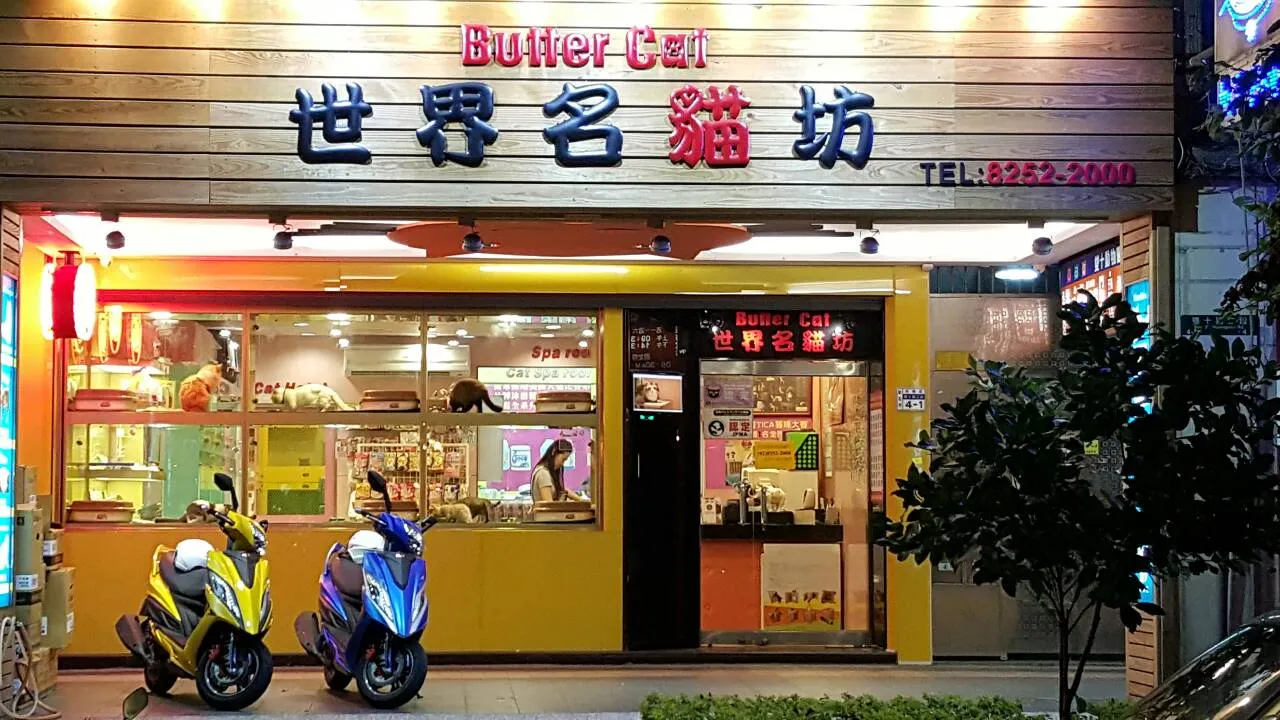 世界名貓坊