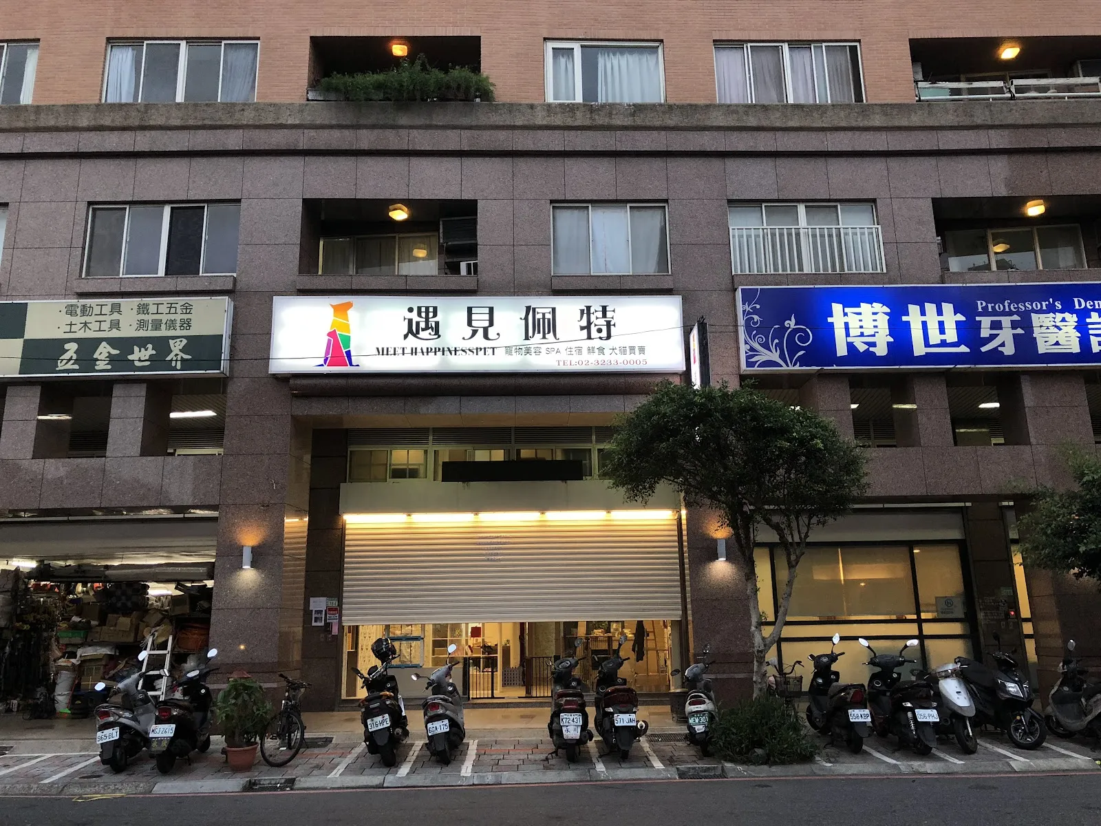 遇見佩特