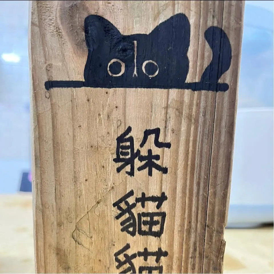 躲貓貓貓舍