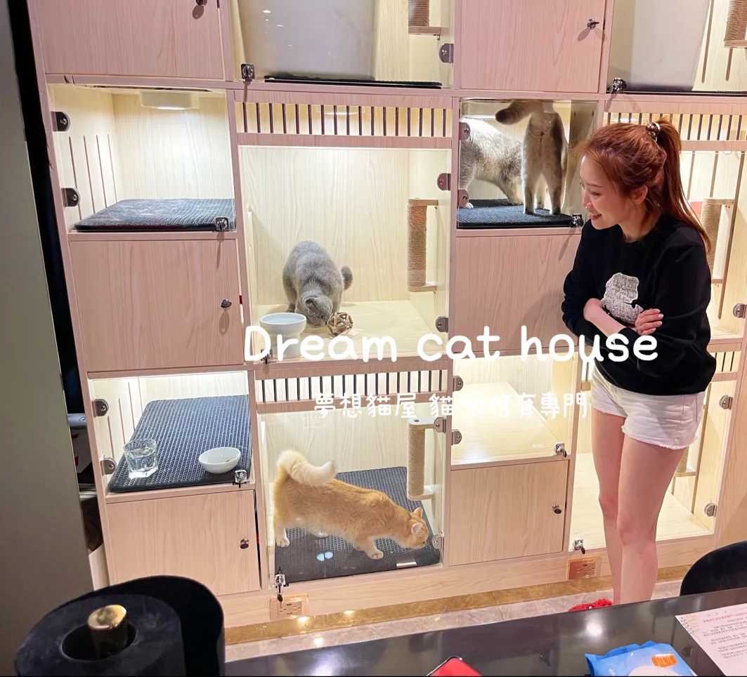 夢想貓屋