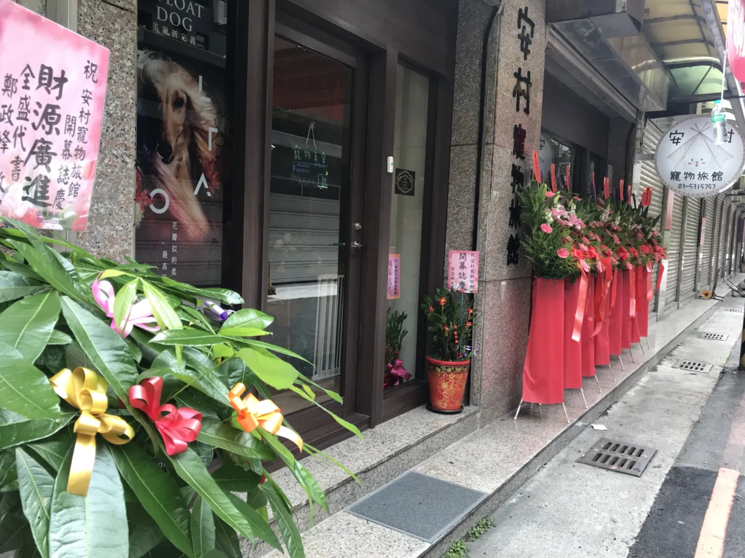 安村寵物店
