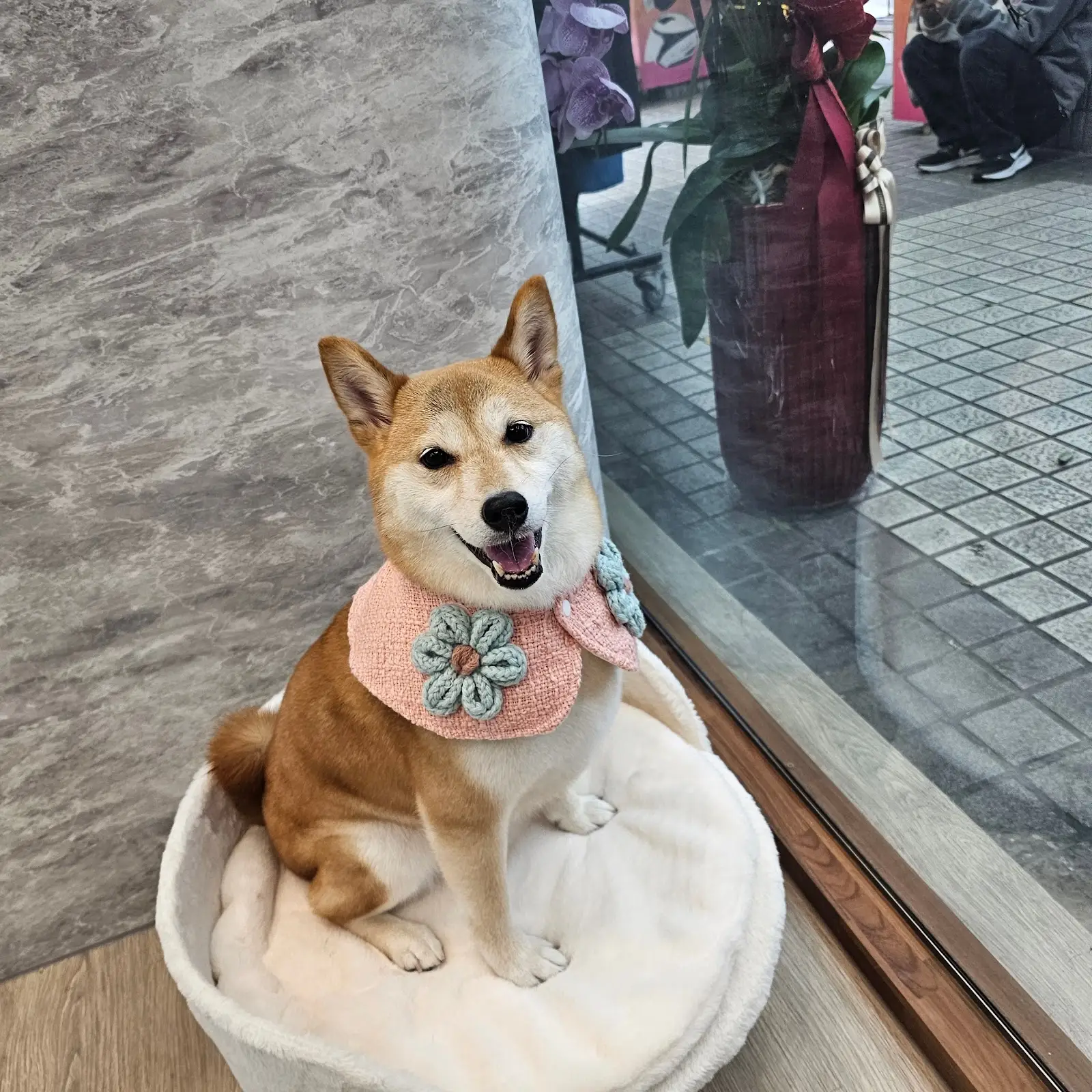 唯依寵物美學企業社