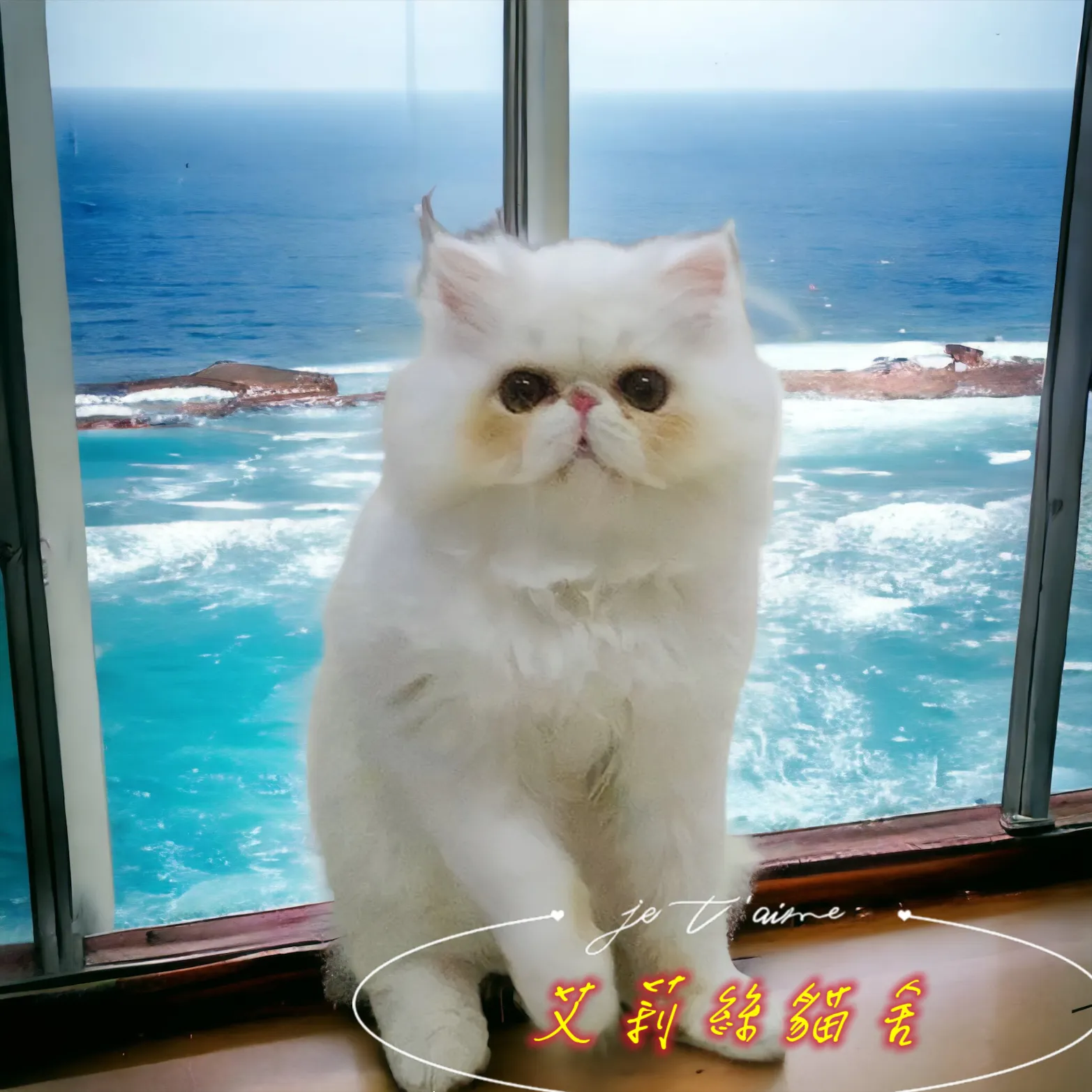 卓越犬舍