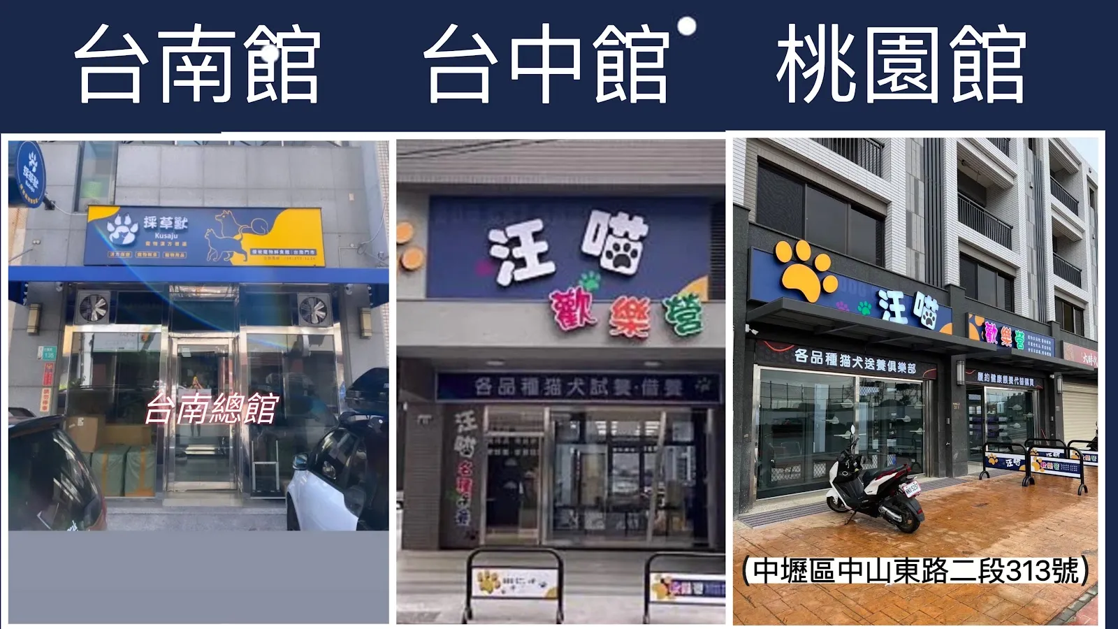貓卜勒有限公司