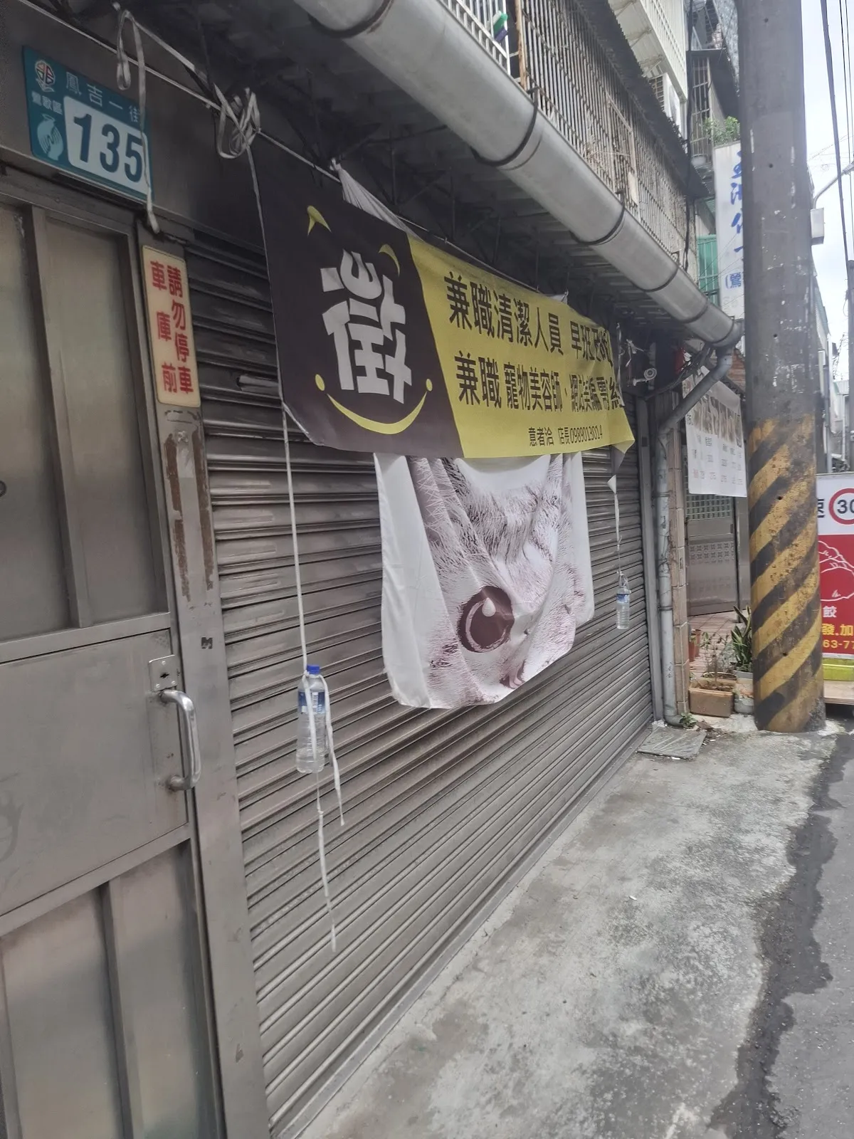 刻在你心底的貓寵物店