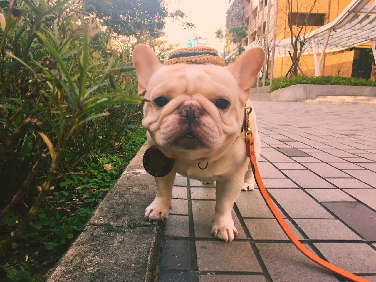優仕寵物生活館