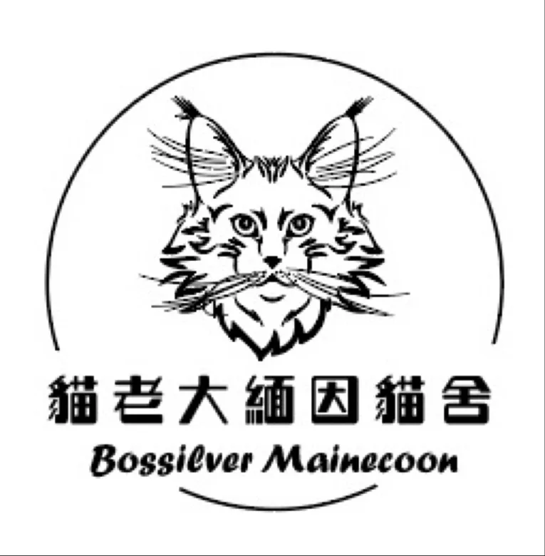 貓老大緬因貓舍