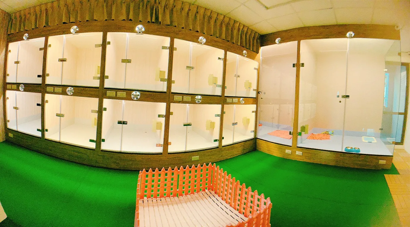 寵曖狗狗生活館