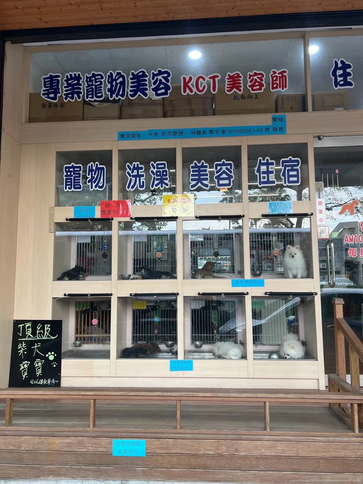 寶貝寵物犬舍
