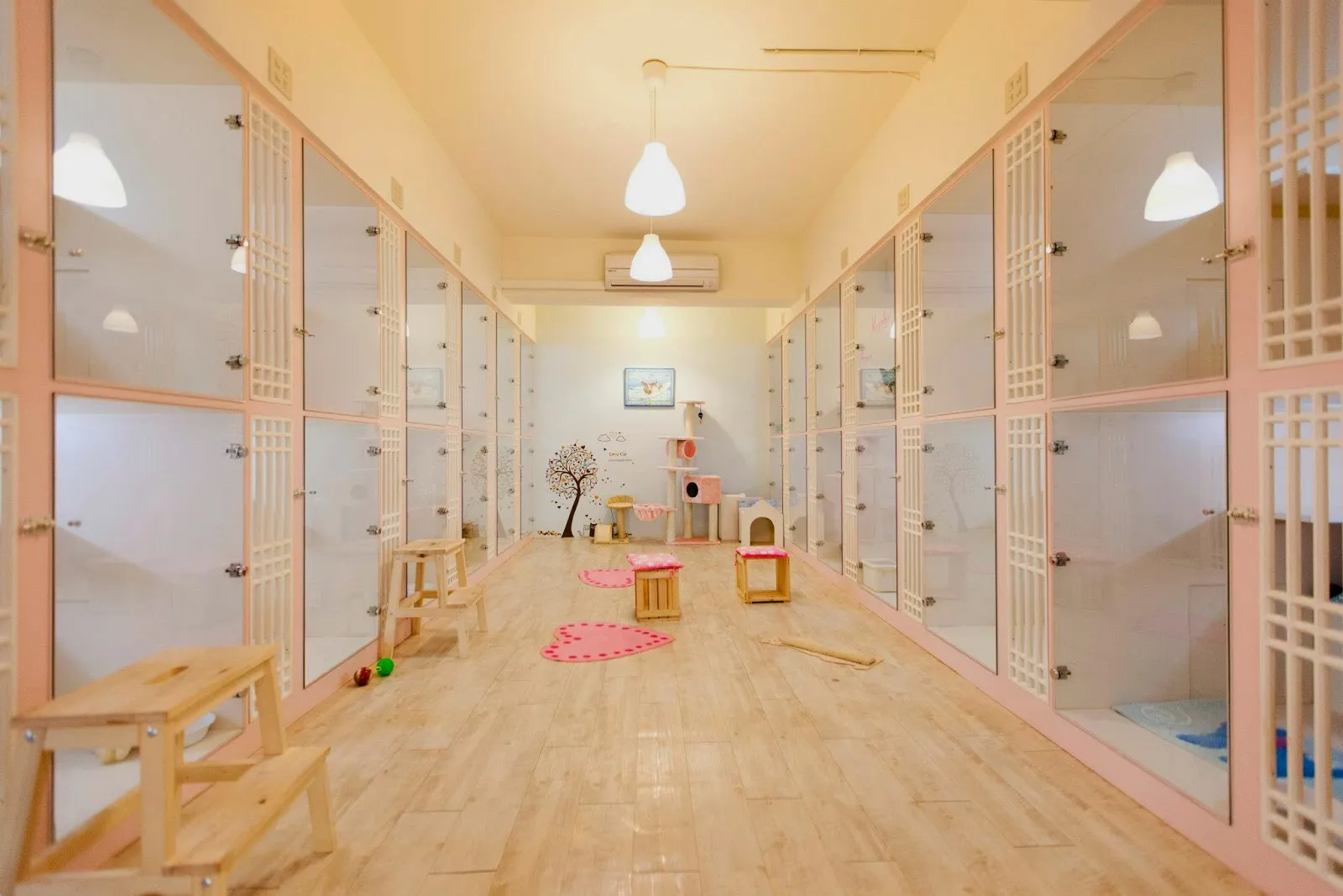 喵喵屋