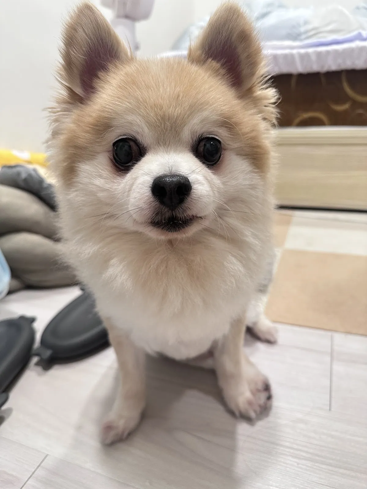 洗澡趣寵美生活小舖