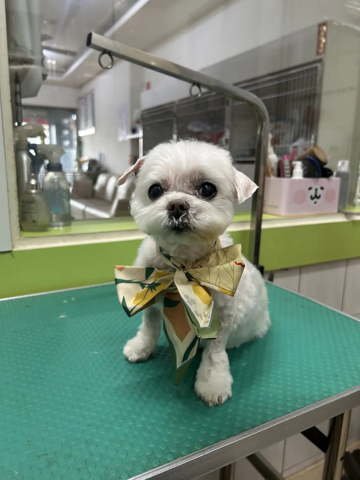 優有寵物美容生活館