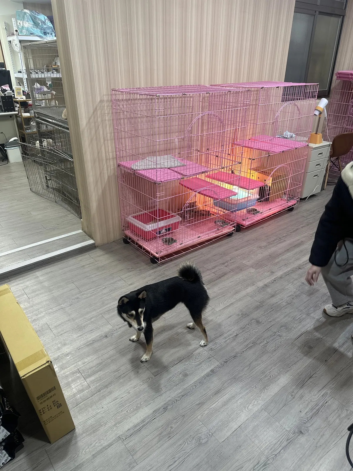 有間寵物店 