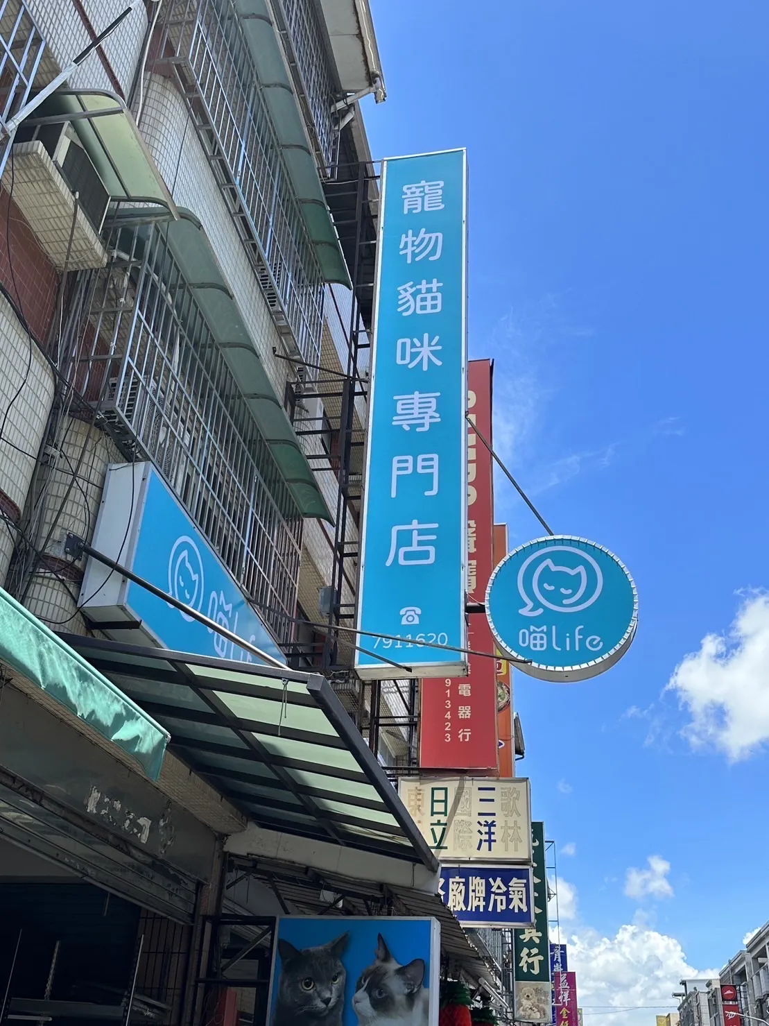 丁叮噹貓舍