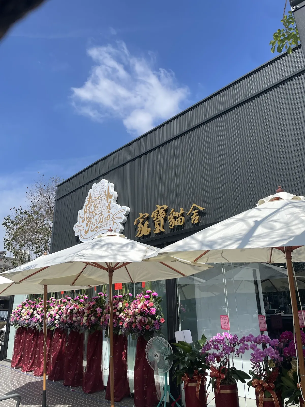 啾豆貓舍