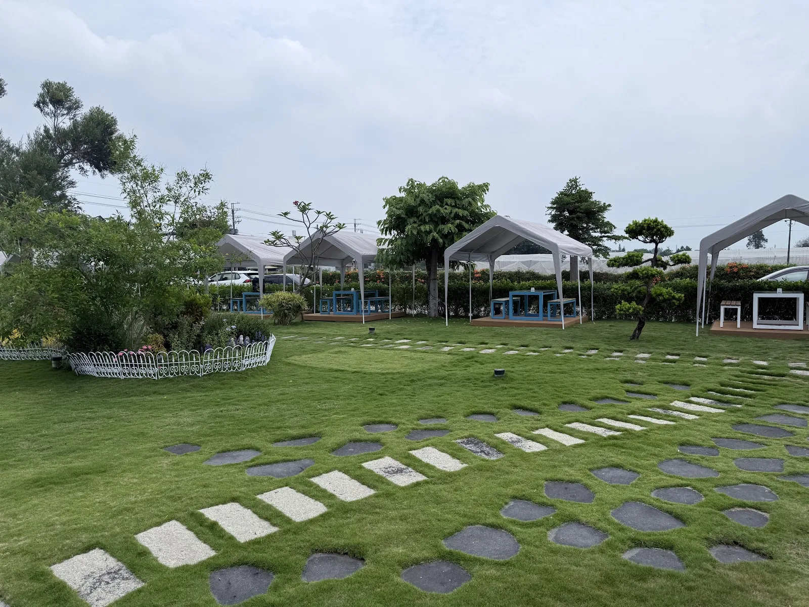 毛寶搖搖寵物莊園