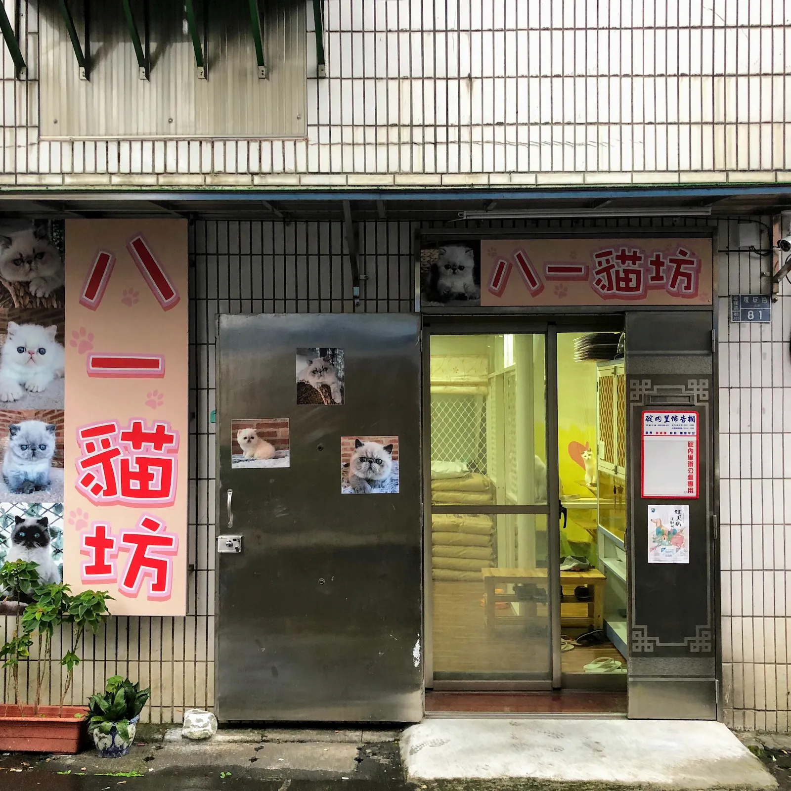 八一貓坊