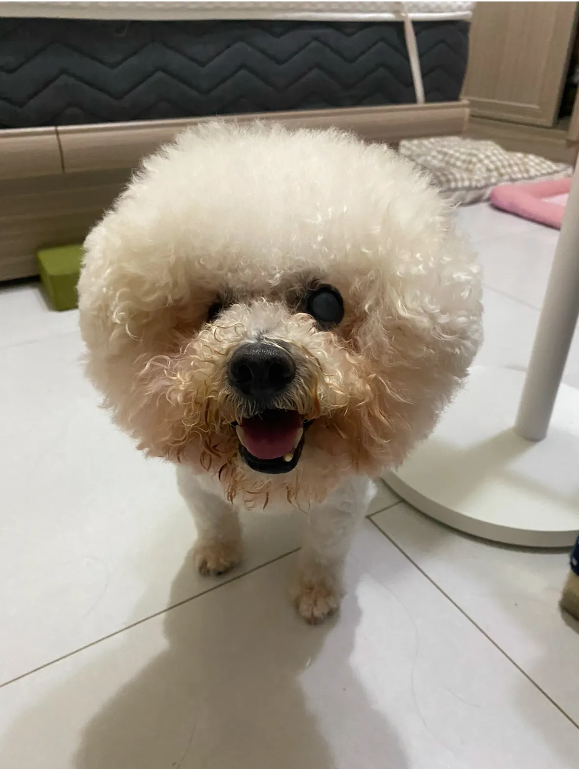 幸福寵物生活館