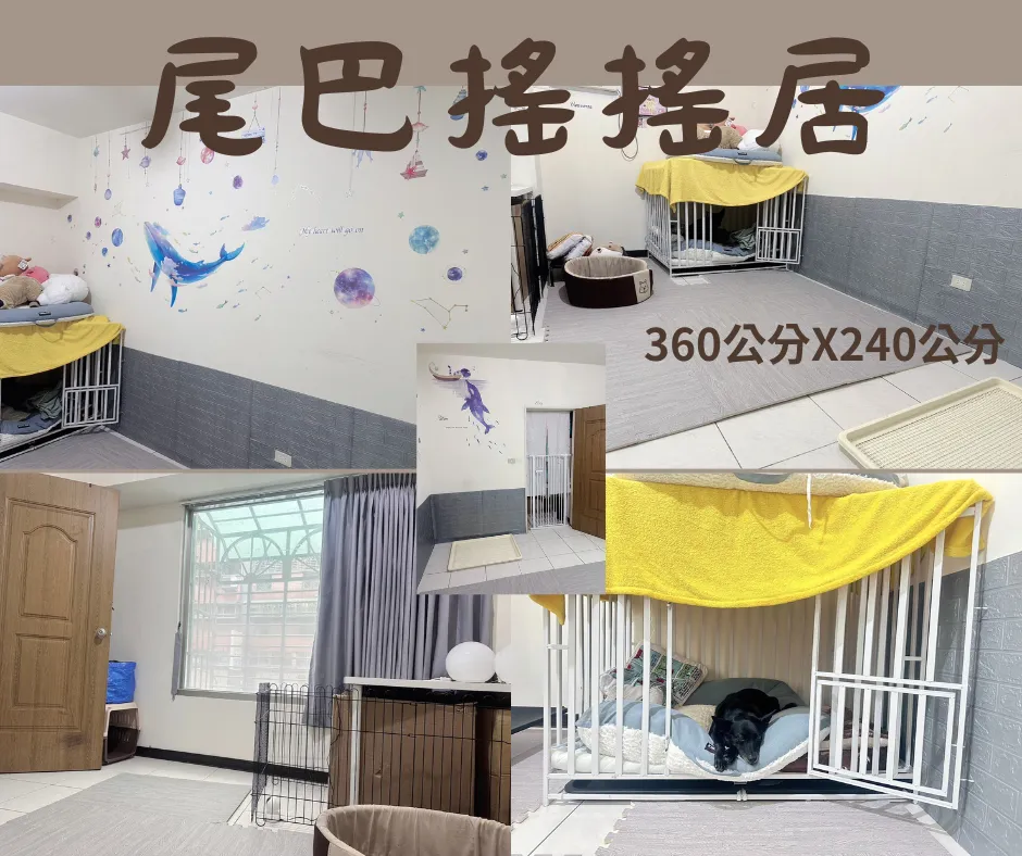 絲蓋狗狗訓練工坊