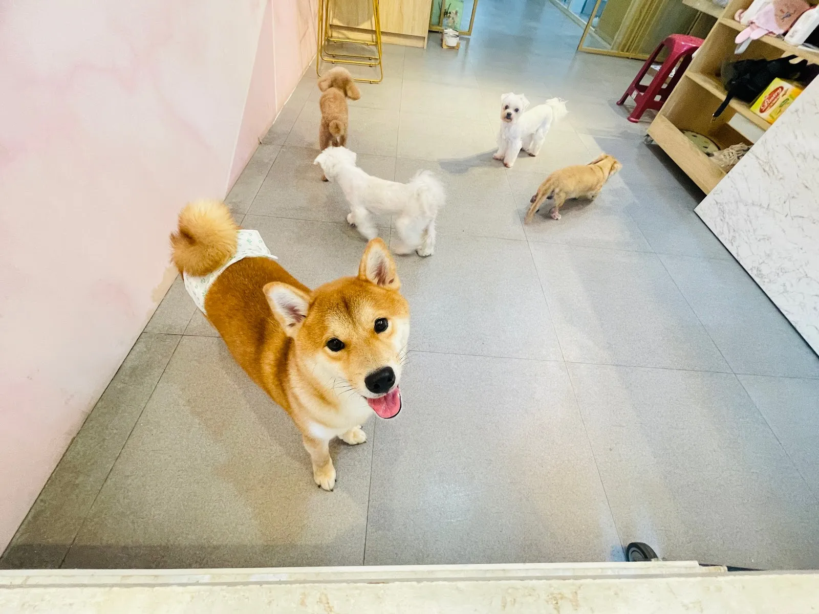 老陸企業