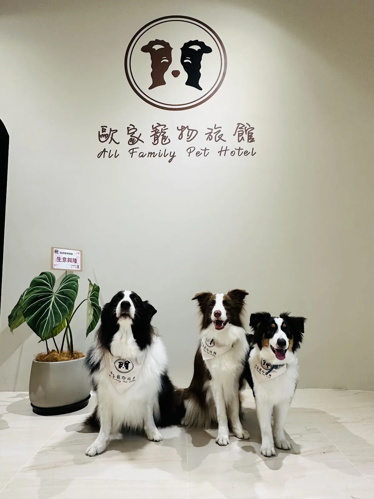 歐家寵物旅館