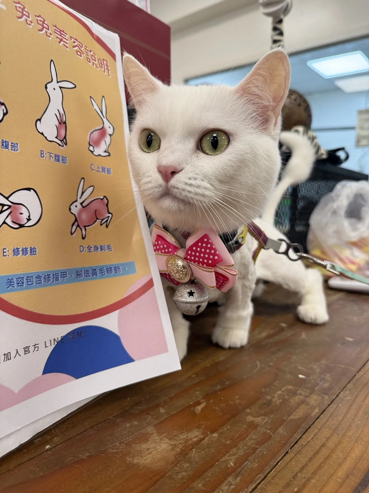 寵翻天商行