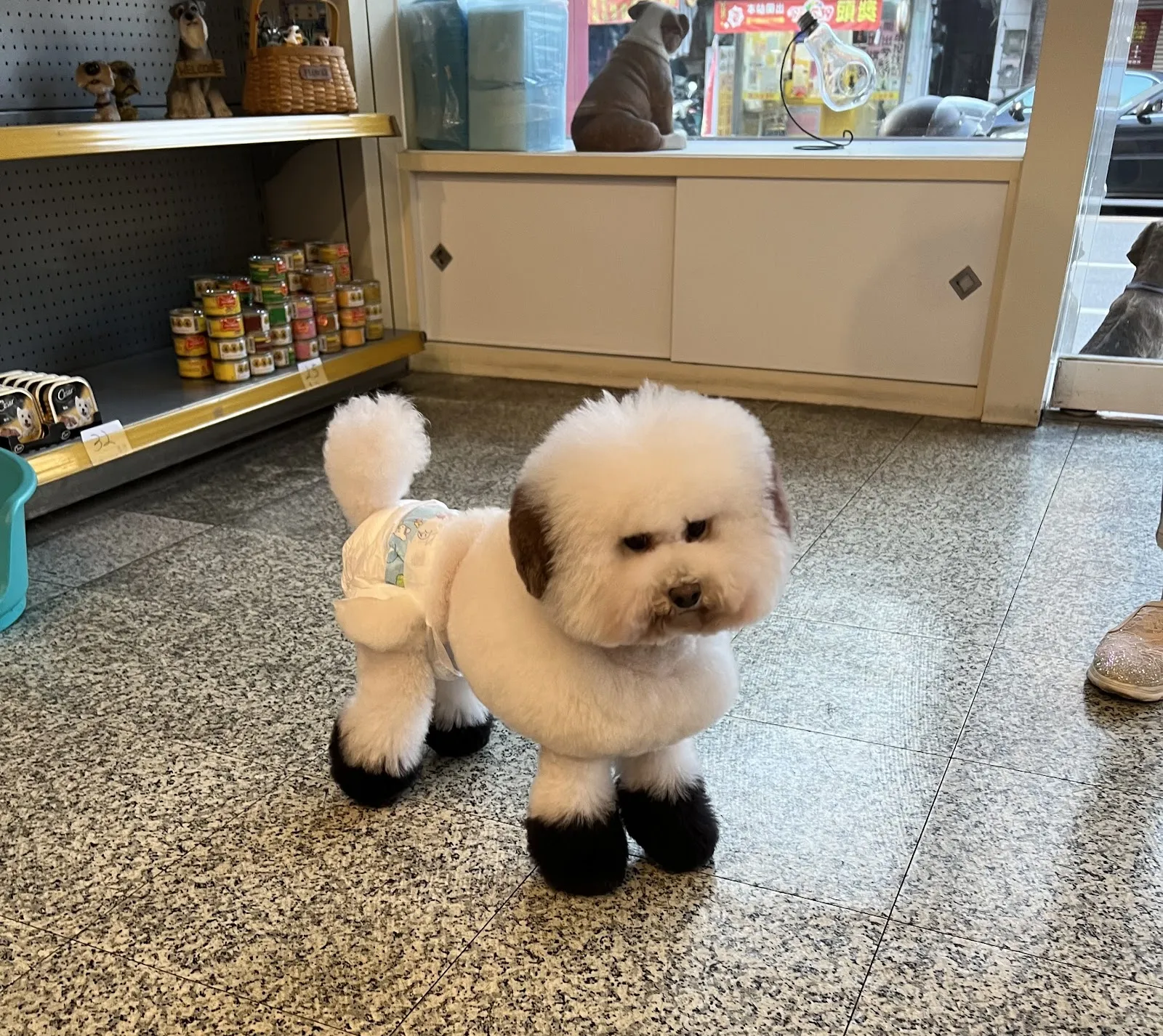 上綺愛犬美容