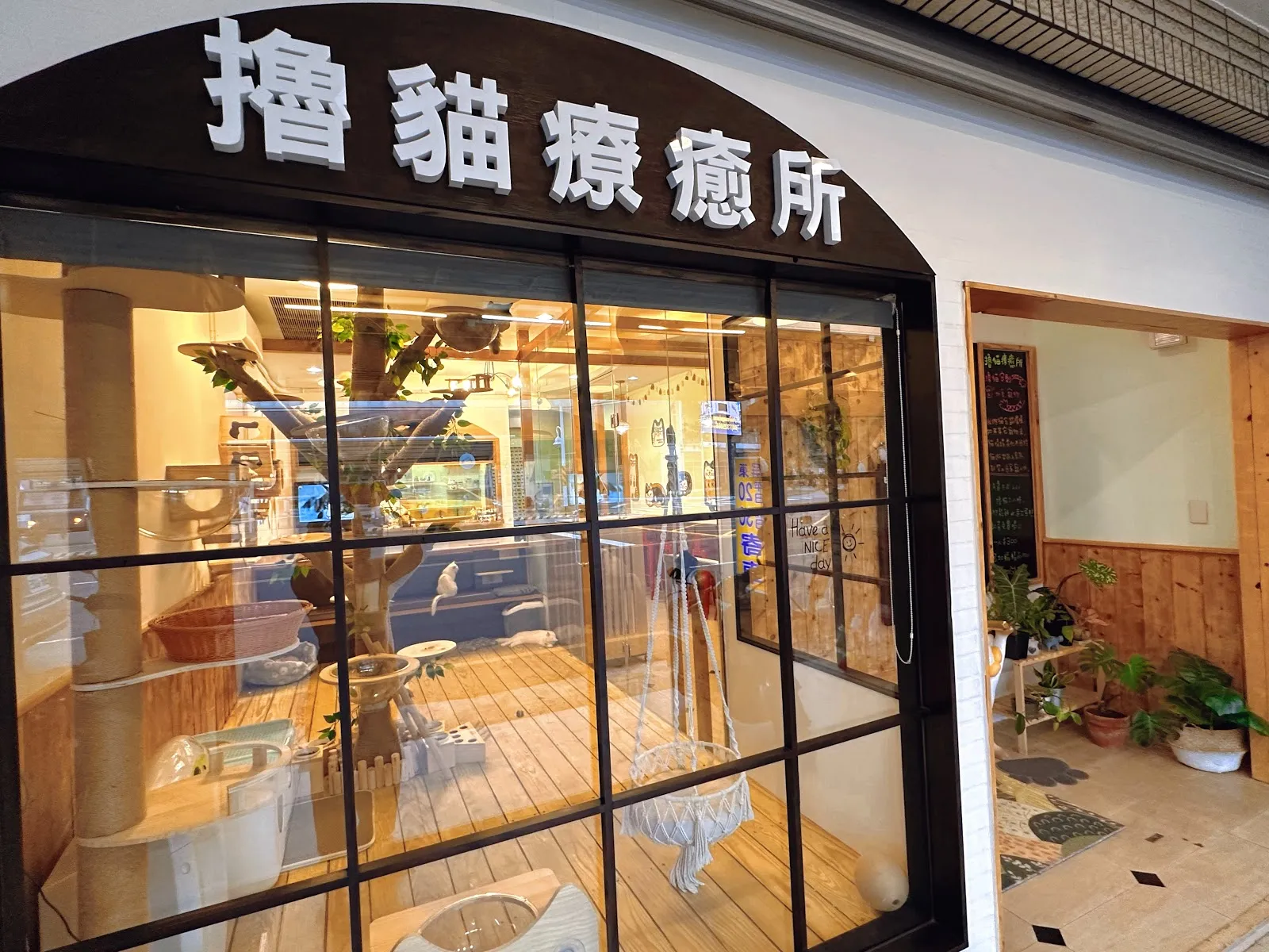 享貓貓坊