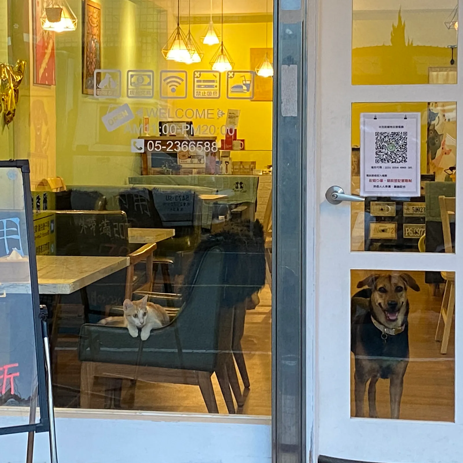 米克斯寵物友善餐廳