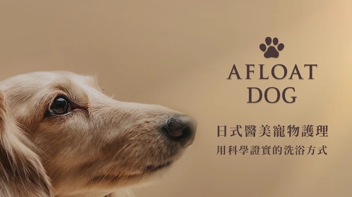 遇見毛孩生活館
