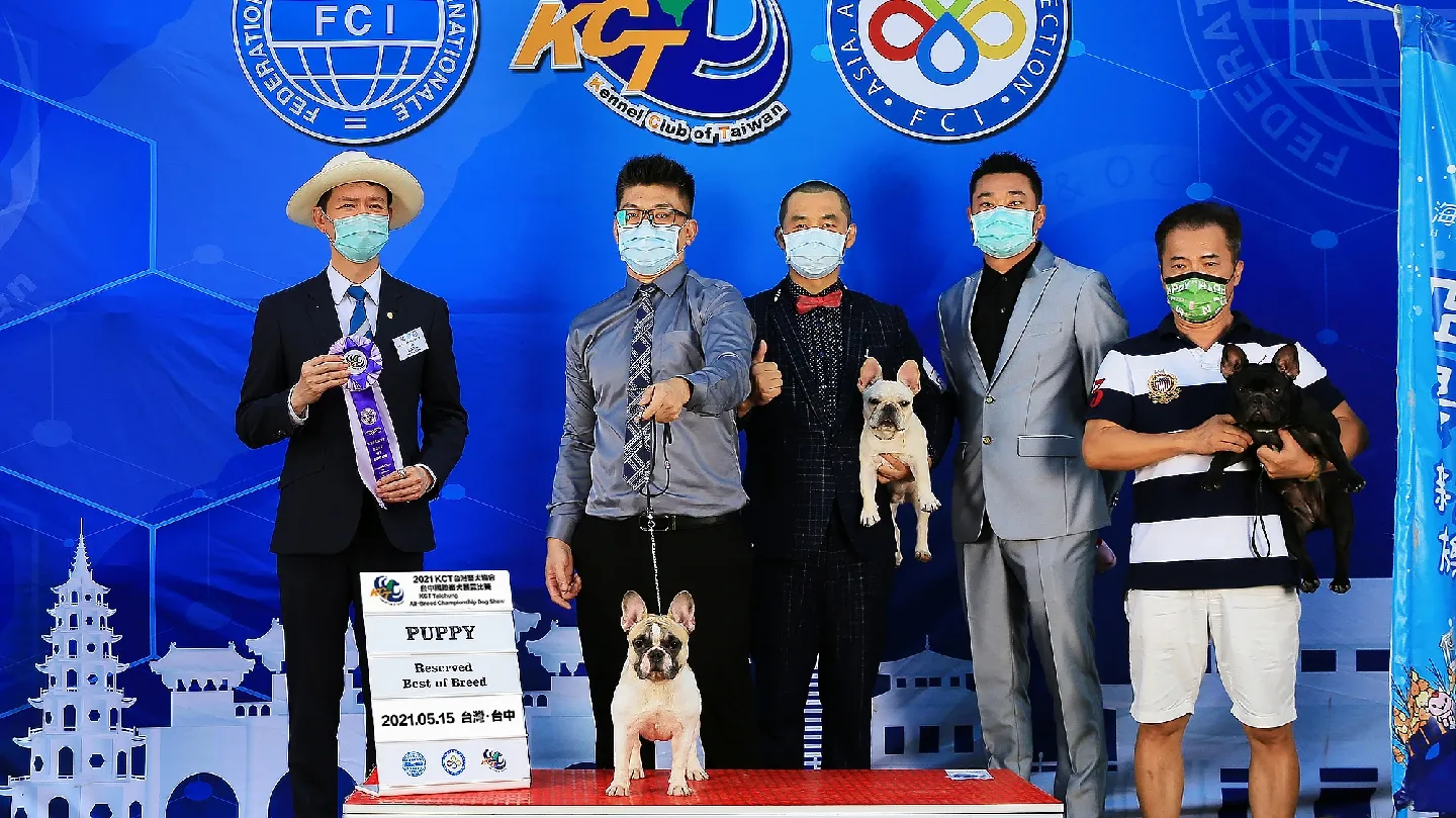 小林家法國鬥牛犬舍