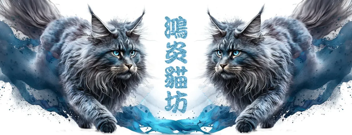 喵起來貓坊