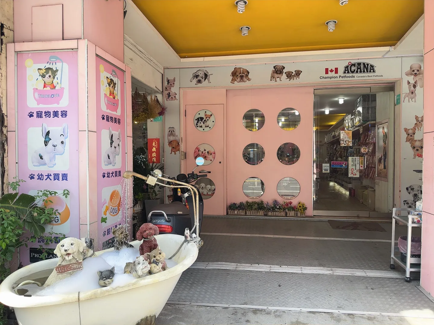 珍艾寵物館