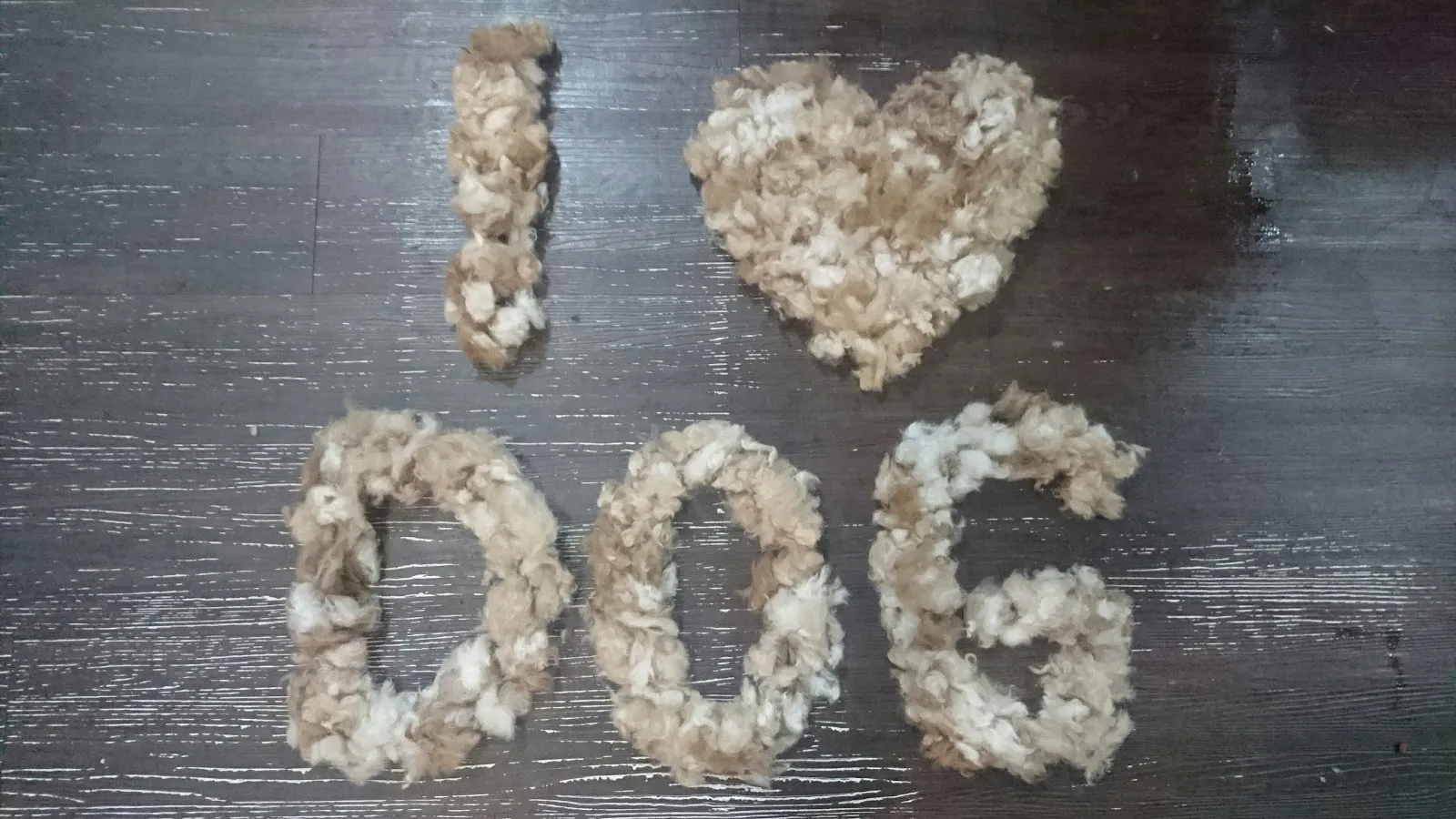 史迪奇寵物