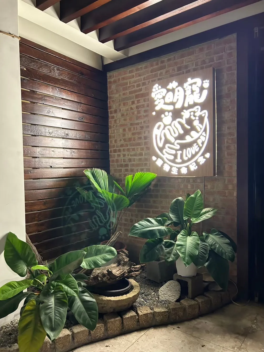萌宠世界宠物店