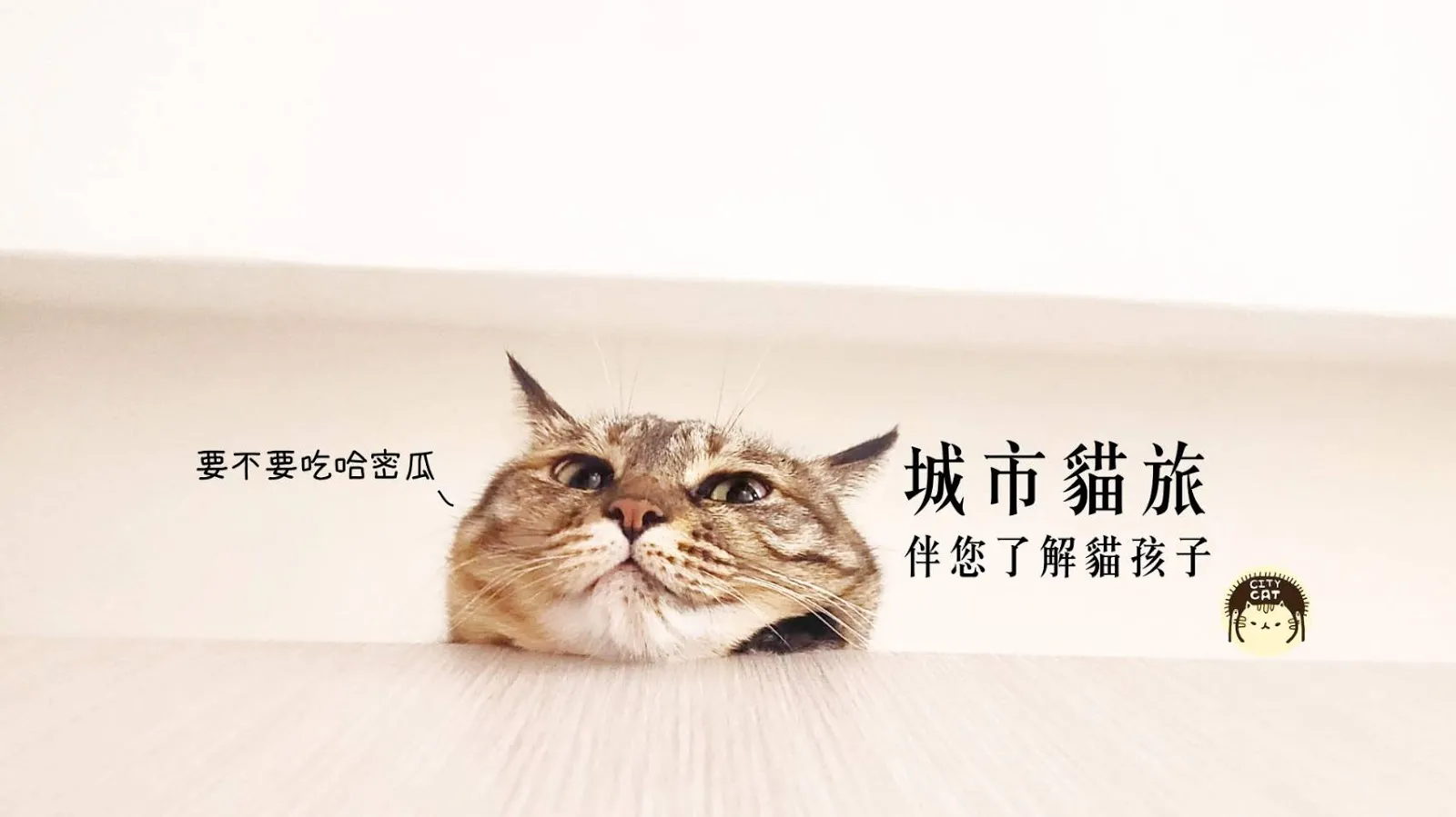 城市貓旅工作室