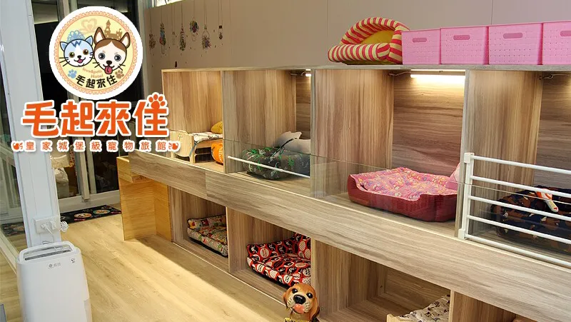 毛起來住寵物旅館
