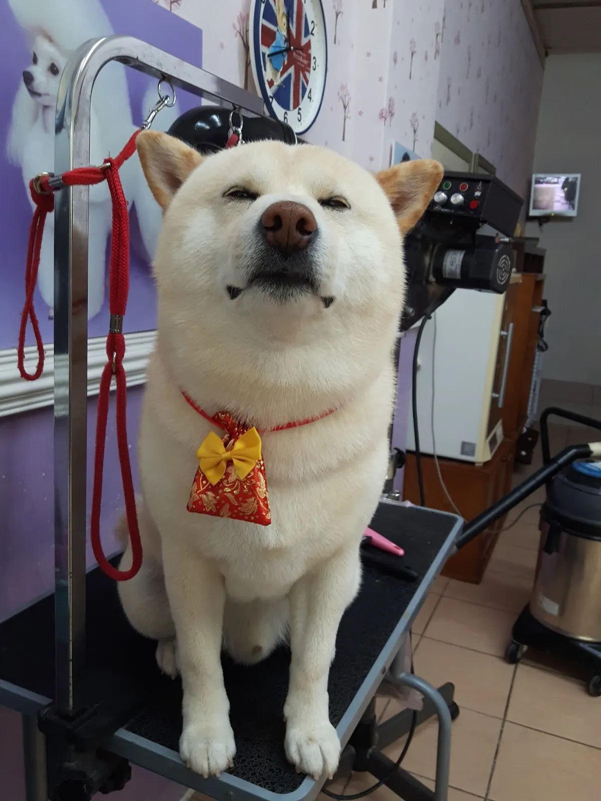 美娜寵物生活館