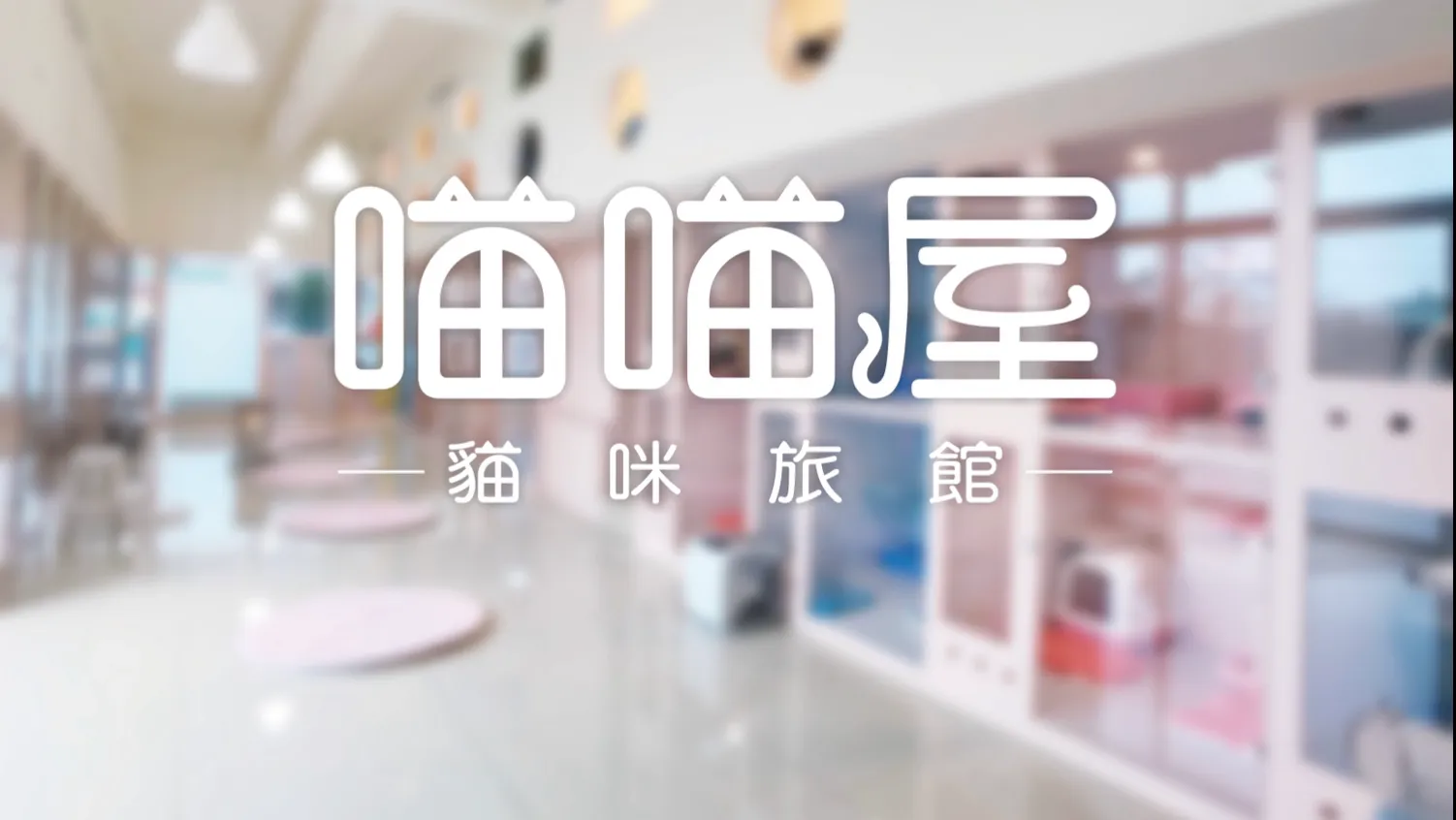 喵喵屋