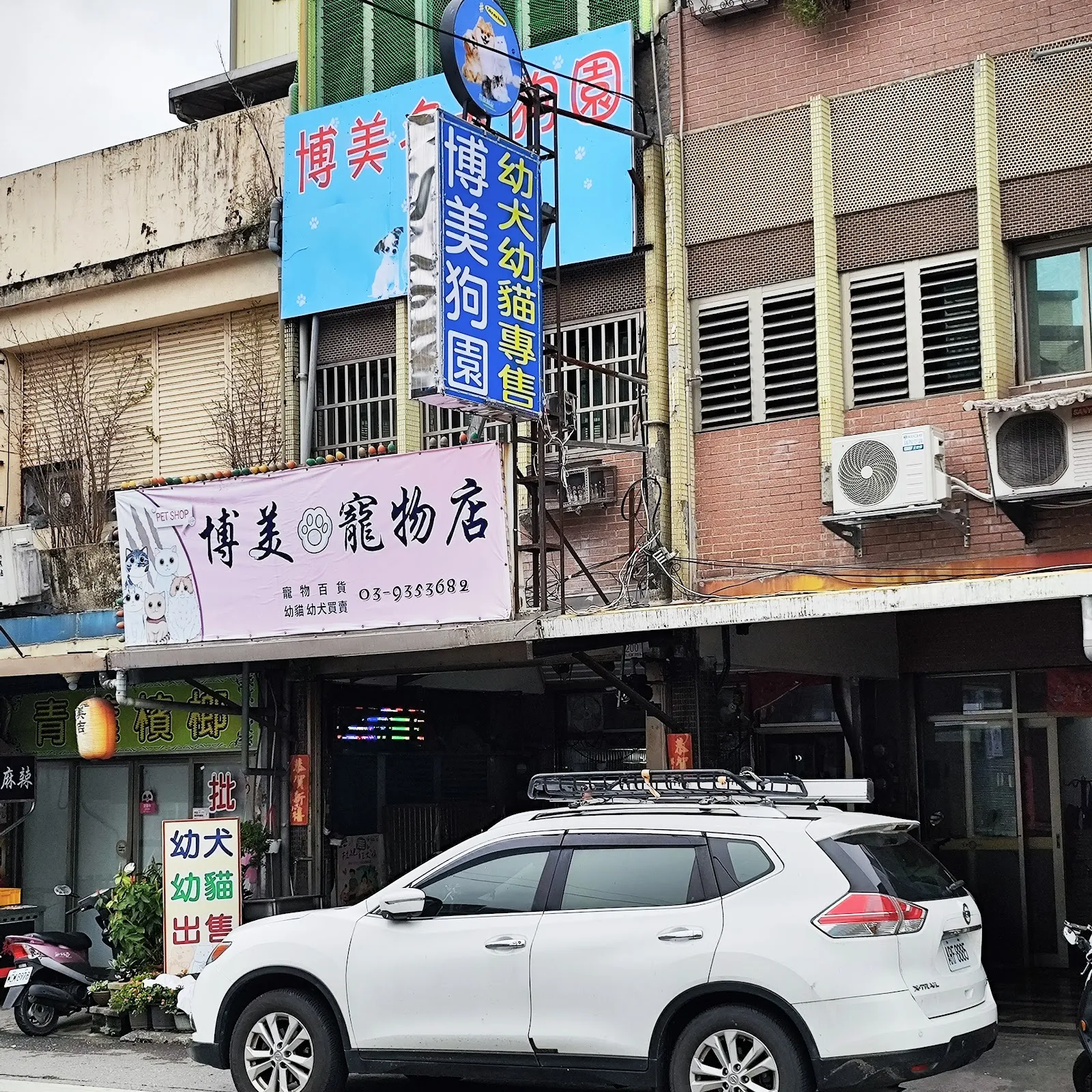 博美名犬狗園