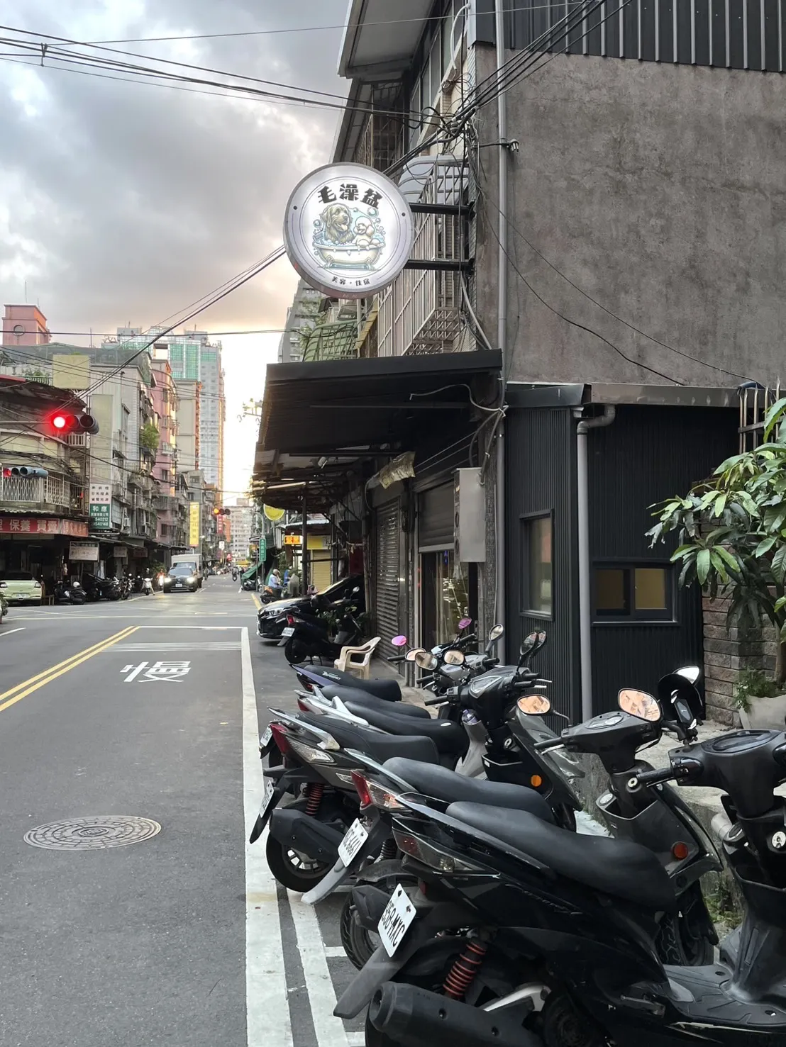 毛澡盆寵物生活館