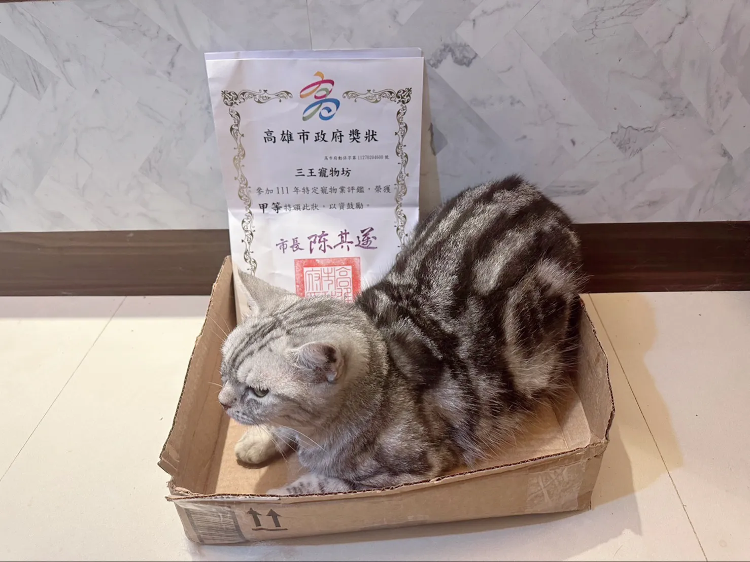 太三王寵物坊