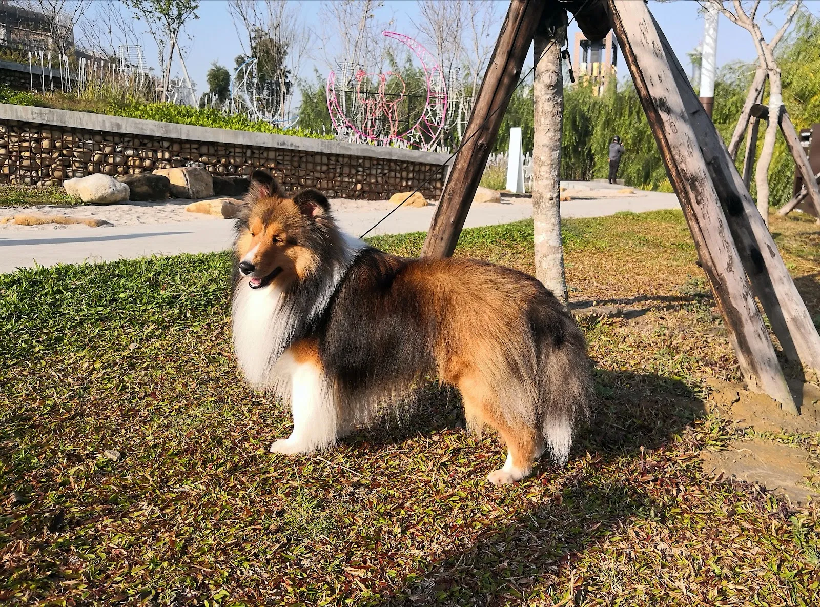 卡地亞犬坊