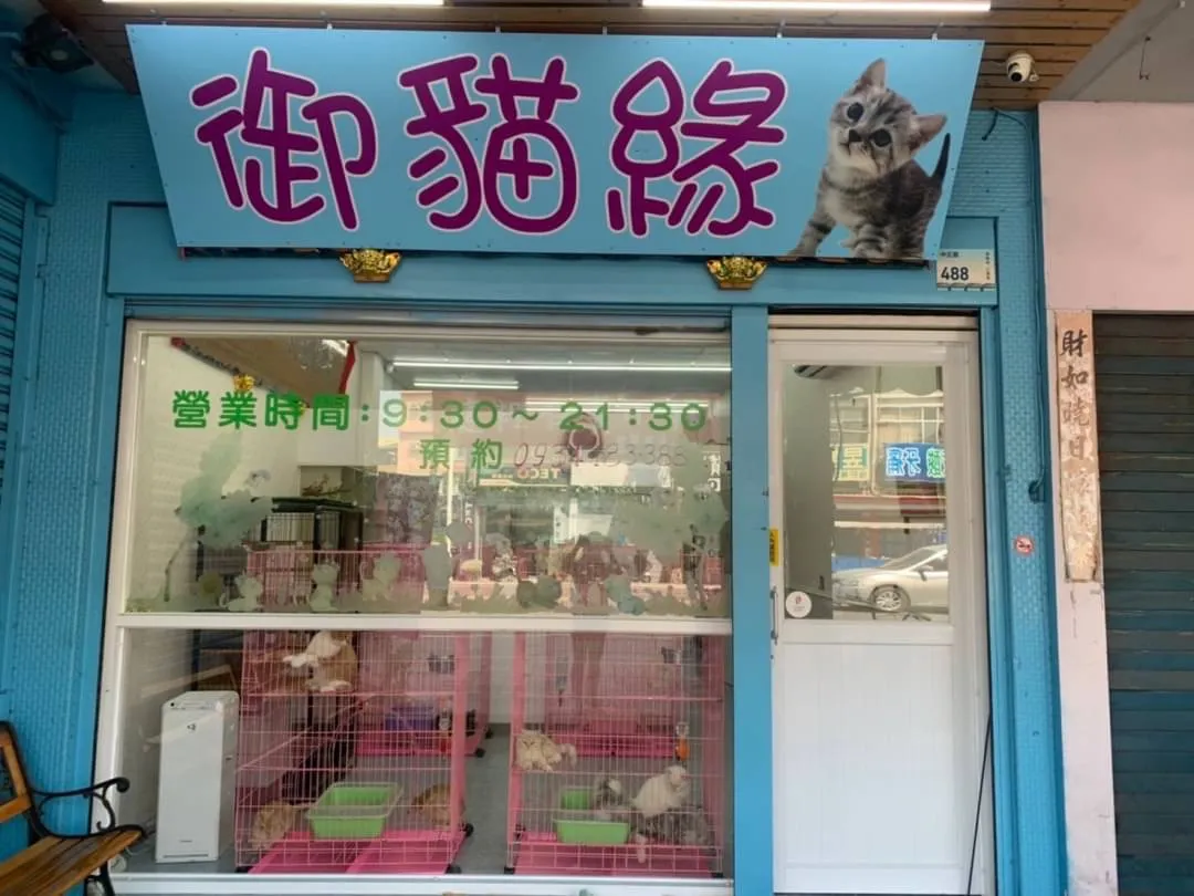貓精靈貓舍