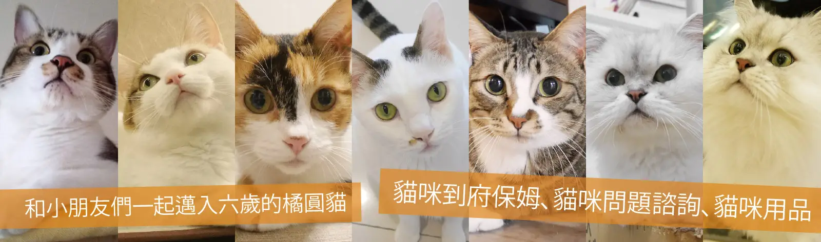 探索貓園企業社